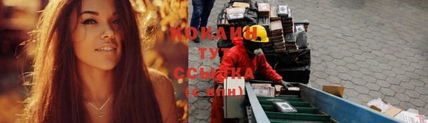 тгк Богородск