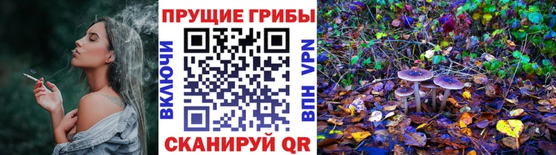 Псилоцибиновые грибы мицелий  Злынка 